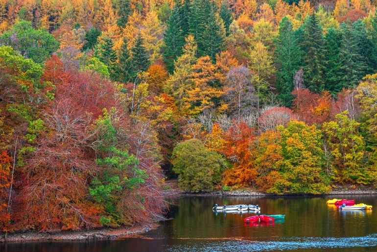 greatlittlebreaks-blog-things-to-do-in-scotland-autumn-enchanted-forest